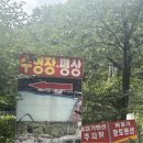 비둘기 펜션 | 대전 근교 운주 계곡 | 비둘기 황토펜션 평상 후기🏞️💦