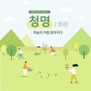 청명 Daum카페