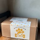 댕댕이# | 애니멀런 랭킹마라톤 댕댕이레이스 후기 스키퍼키런 버츄얼런 유기견 기부