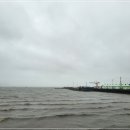 칠곡행정사사무소 이미지