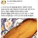 푸드더즈매터 이미지