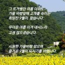 ❤️의사 말 잘듣고 오래살고 건강한분 드물다. 이미지