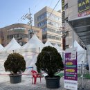 방배세명약국 네이버블로그
