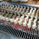 장어애홍삼민물장어