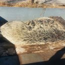 칠산한우농장 이미지