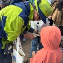 청도신화랑풍류마을 오토캠핑장 이미지