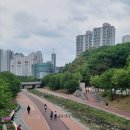 호평금배 근린공원 이미지