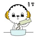 김미경 동물병원 이미지