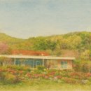 노루목향기 이미지