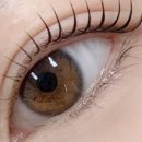 비비드 속눈썹 이미지