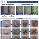 엽록소㈜ | 경농 쓰리샷 액상수화제