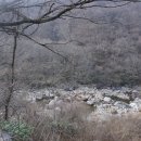 지리산흑돼지촌마을 이미지