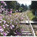 늘방앗간 이미지