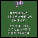 🌹 언젠가... ( 시인(詩人) 한용운) // 가슴 아파하지 말고 나누며 살다 가자//화려헸던 젊음도 이미지