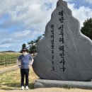 해안사구 이미지