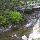 숲속의민박 이미지