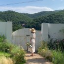 스테이밤밤 이미지