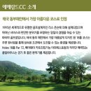 지니골프투어 이미지