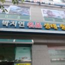 박지연명품생태 이미지