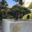 [망원역 카페]앤트러사이트 서교점/ 한적하고 분위기 있는 공간에서 커피 한 잔의 여유