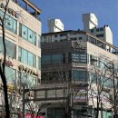 보라하다 | 2022년부터 5년째 수강하는 이유, 용인 보라동 W필라테스 보라점 내돈내산 후기