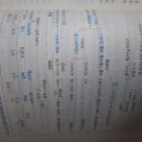 지방세 납부 지연가산세 도표? 이미지