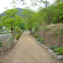 중산골