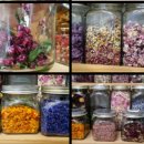 꽃내풀네 이미지