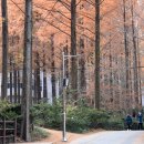 장태산의아침 이미지