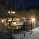 금대리828 이미지