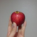 청송상회 이미지