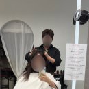 보그헤어춘천온의점