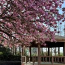 선흘1리경로당 이미지