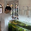 레어아쿠아 | [아쿠아탐방기] 서울 도봉구 🌿"더플랜츠맵" 아쿠아카페