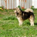 럭키농장 이미지