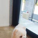 어울림미장원 이미지