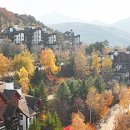 용평사우나1 이미지