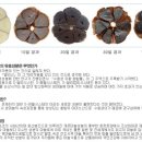 간월도어촌계 이미지