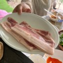 [완주 물놀이 계곡 맛집] 대아관광농원식당 무료 평상대여 올여름 첫 물놀이 묵은지닭볶음탕, 삼겹살