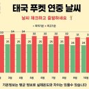 포인트골프방 이미지