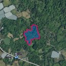 표선리-5 이미지