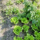 서율농장 이미지