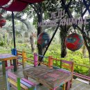 제주해양동물박물관 | 성산 근처 가성비 최고 좋은 제주해양동물박물관