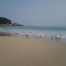 올빼미노래연습장 이미지