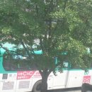 수원-1825 이미지