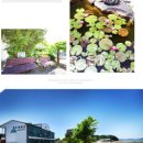 정이 넘치는 펜션 이미지