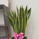 경희모세한의원 이미지