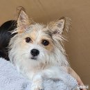 동네마실 빨래방 | 10월, 11월 일상 모음.zip