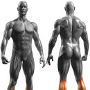 하이디솔루션 이미지