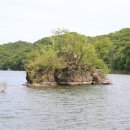 초평낚시터 이미지